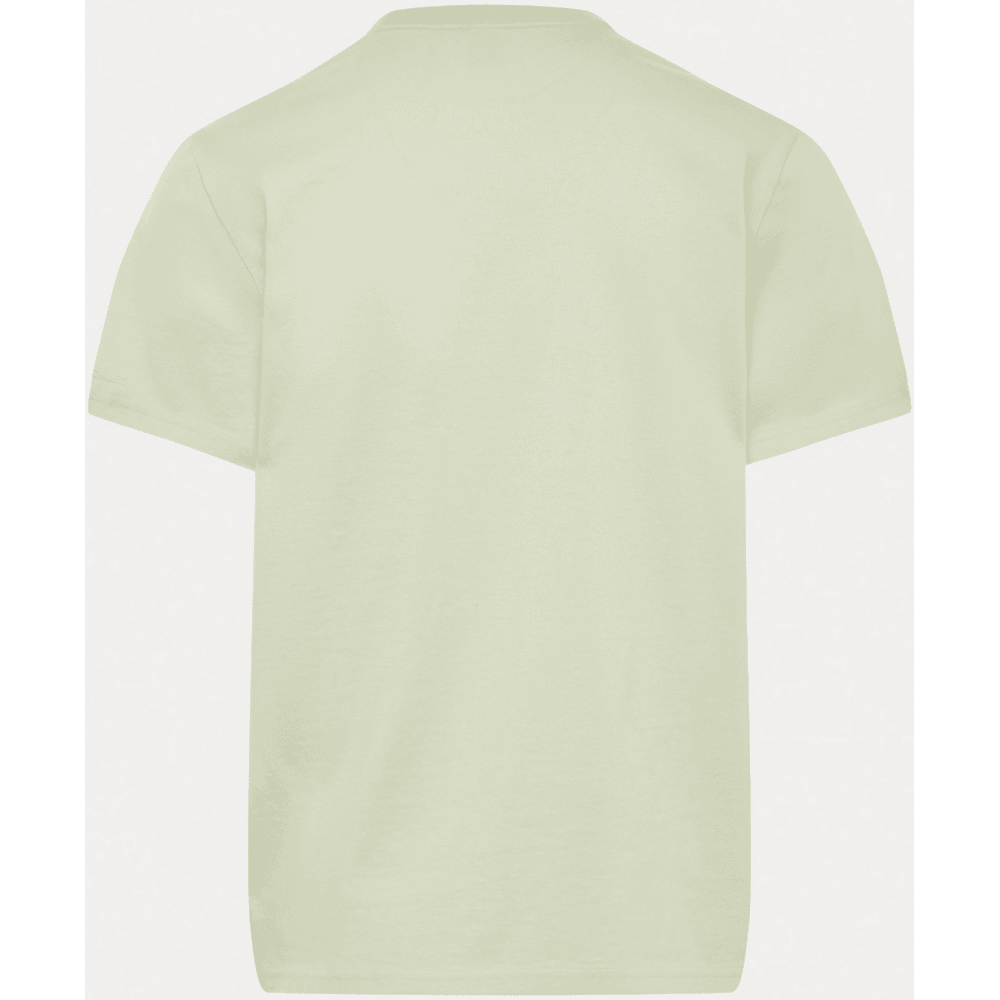 Satellite Basic Logo Mint Green T-Shirt