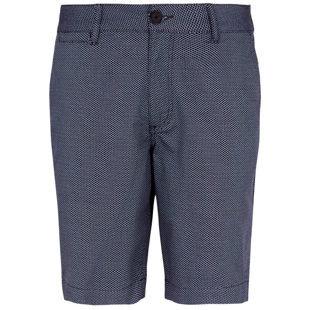 Slim Fit Textured Blue Shorts