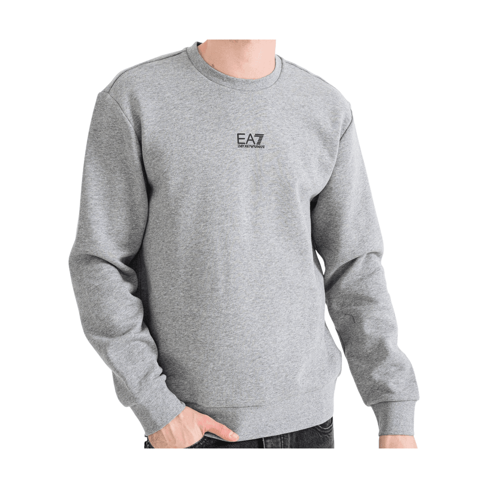 Core Logo Grey Sweatshirt